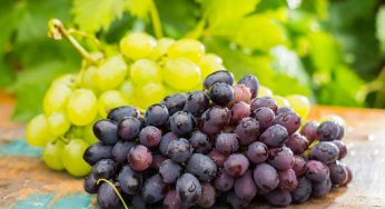 AS VITAMINAS E OS BENEFÍCIOS DA UVA