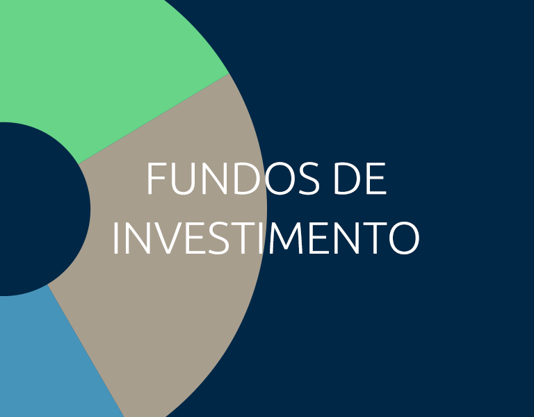 fundos de investimentos