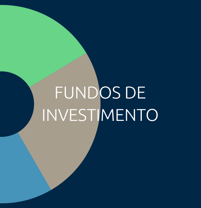 fundos de investimentos