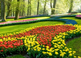 Holanda