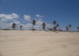 Praia de Cumbuco
