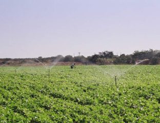 Bacia Hidrográfica