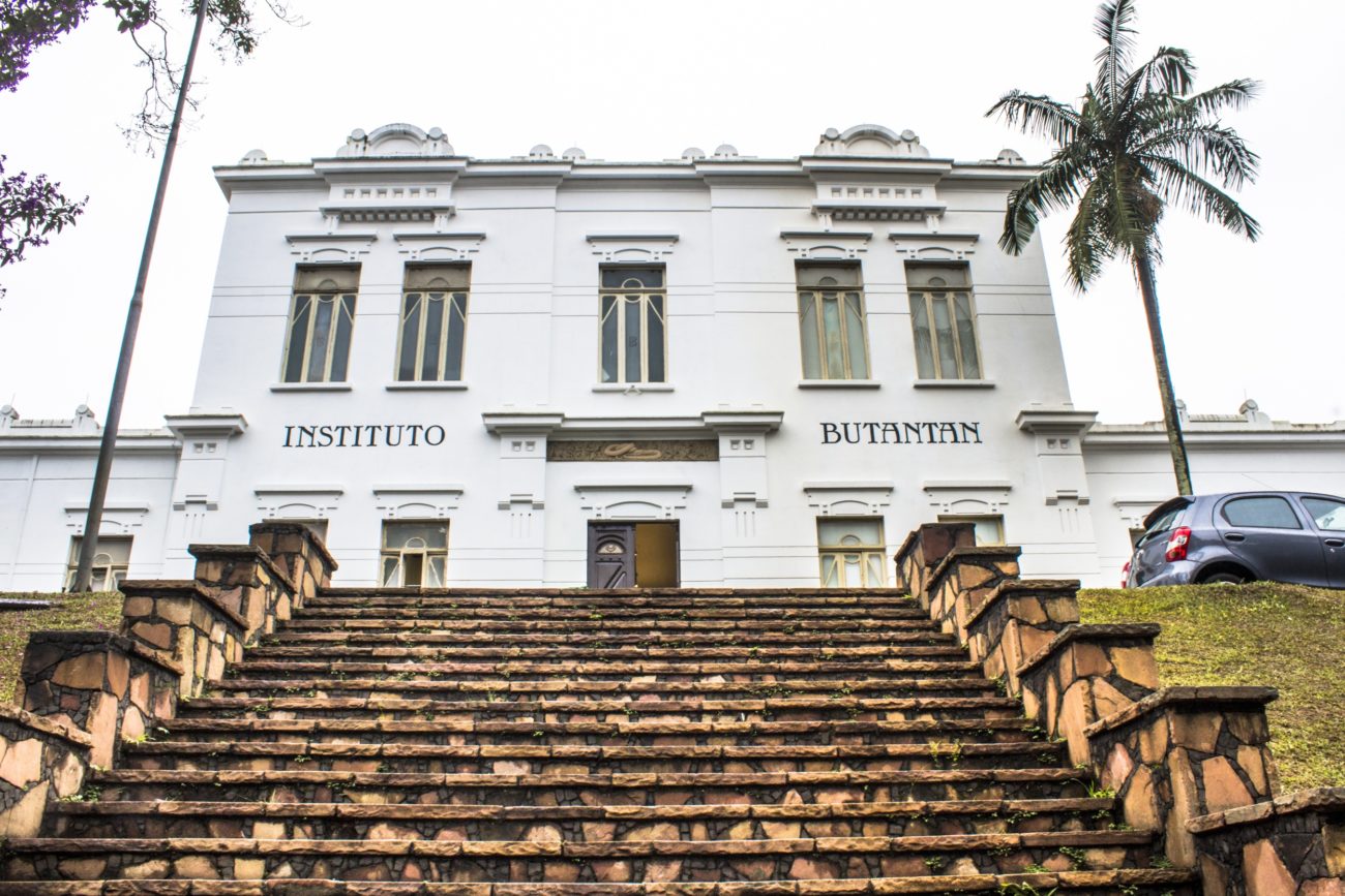 Instituto Butantan