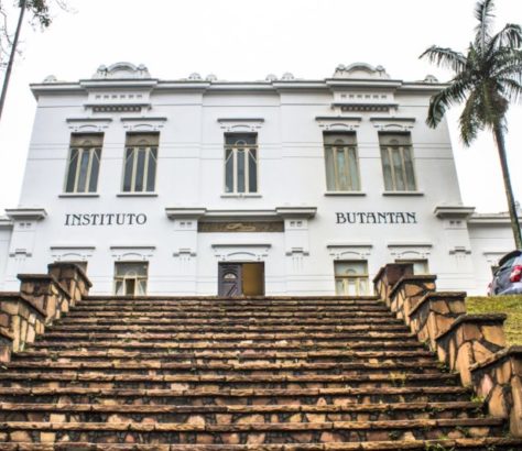 Instituto Butantan