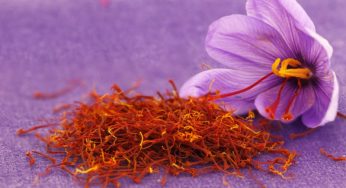 O ANTIOXIDANTE AÇAFRÃO VERMELHO