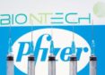 pfizer