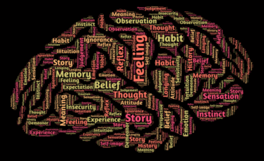 Cerebro
