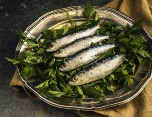 Sardinha