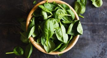 ALIMENTOS QUE AJUDAM NA FUNÇÃO PULMONAR