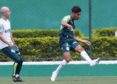 Palmeiras