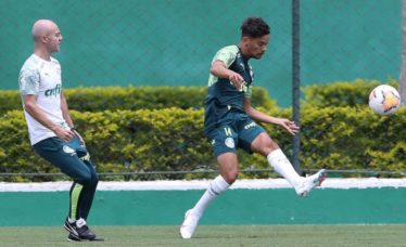 Palmeiras