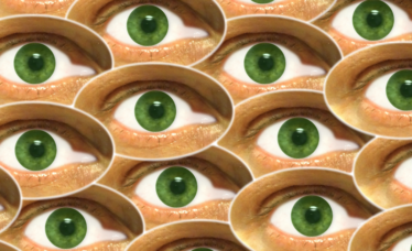 O olho
