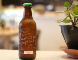 kombucha