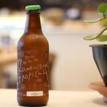 kombucha