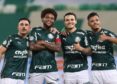 Palmeiras