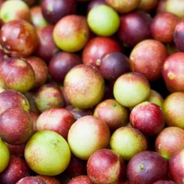 camu camu