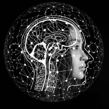 Cerebro